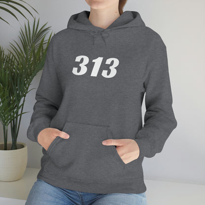 Detroit '313' Hoodie (Racing Font) | Unisex Standard