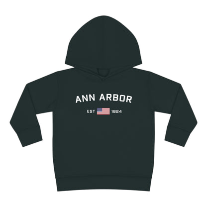 'Ann Arbor EST 1824' Hoodie (w/USA Flag Outline) | Unisex Toddler