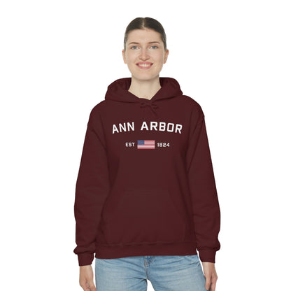 'Ann Arbor EST 1823' Hoodie (w/USA Flag Outline) | Unisex Standard