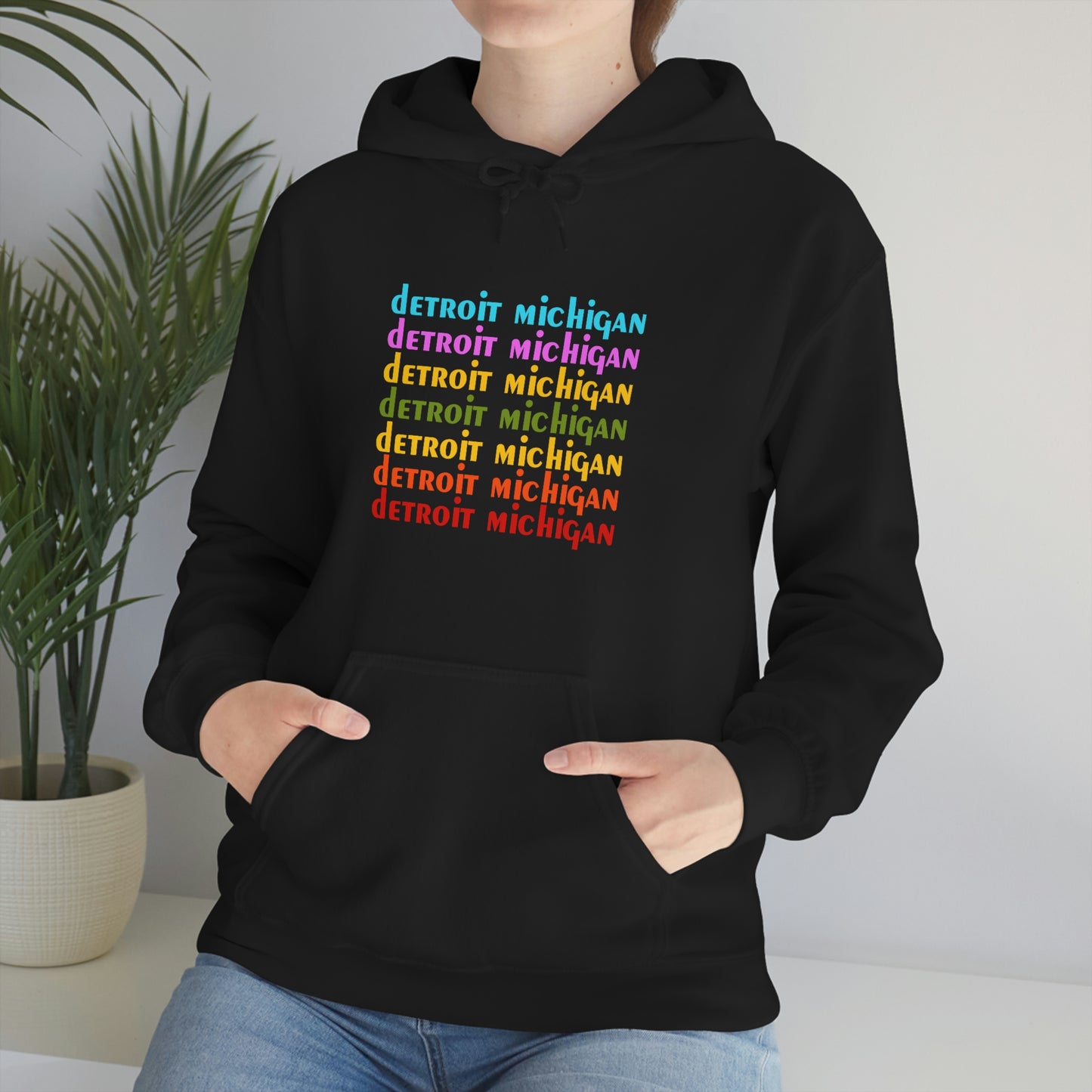 'Detroit Michigan' Hoodie (1970s Sitcom Parody) | Unisex Standard