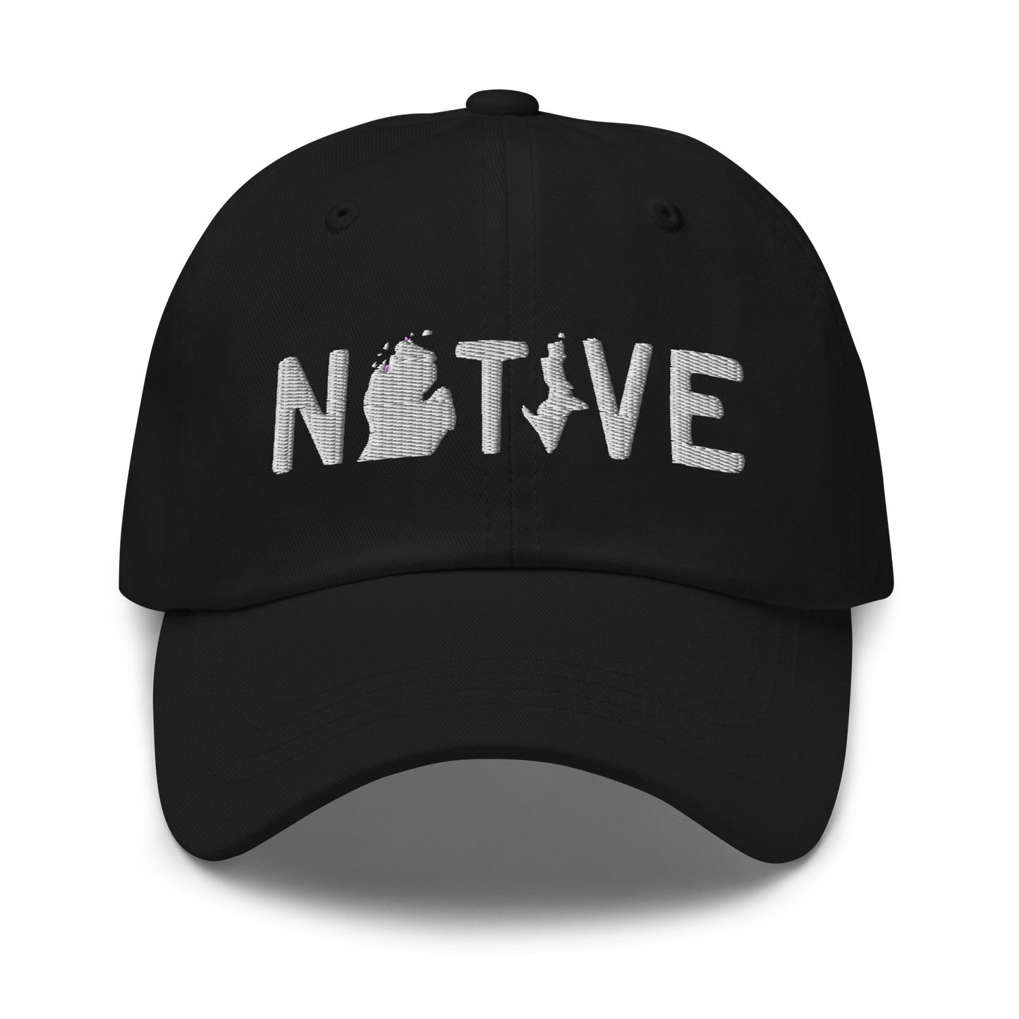 Michigan 'Native' Dad Hat (Licence Plate Font)