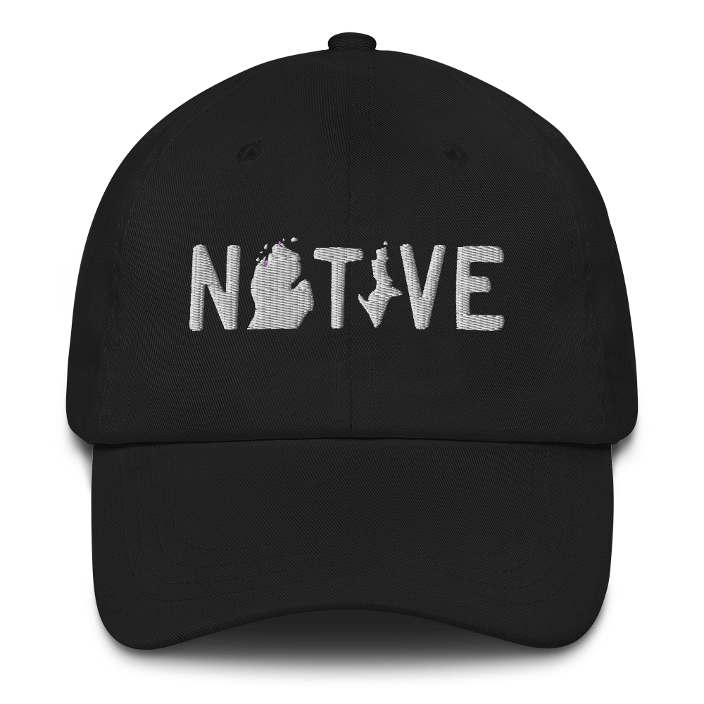 Michigan 'Native' Dad Hat (Licence Plate Font)