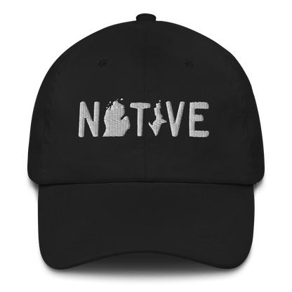 Michigan 'Native' Dad Hat (Licence Plate Font)