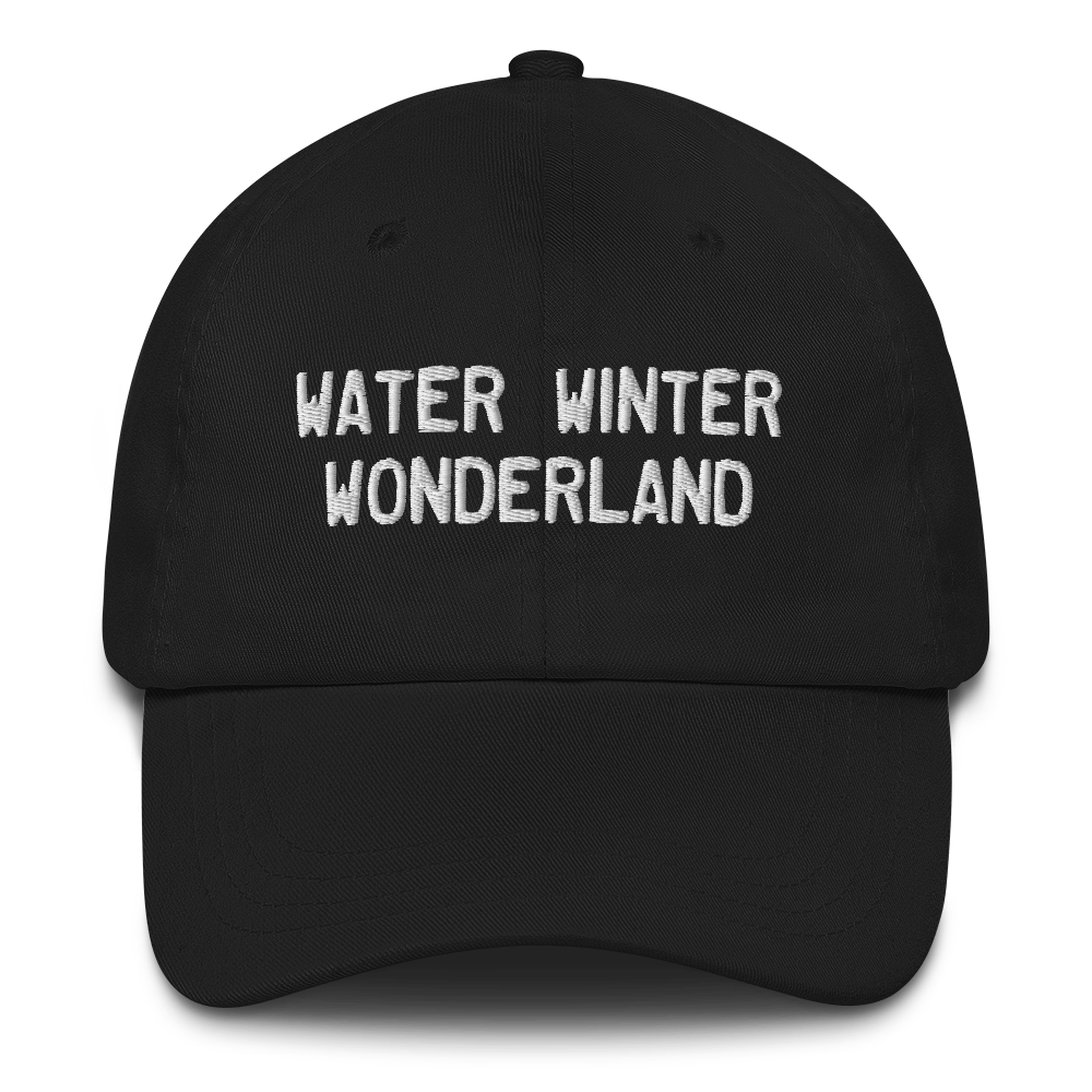 Michigan 'Water Winter Wonderland' Dad Hat (Licence Plate Font)