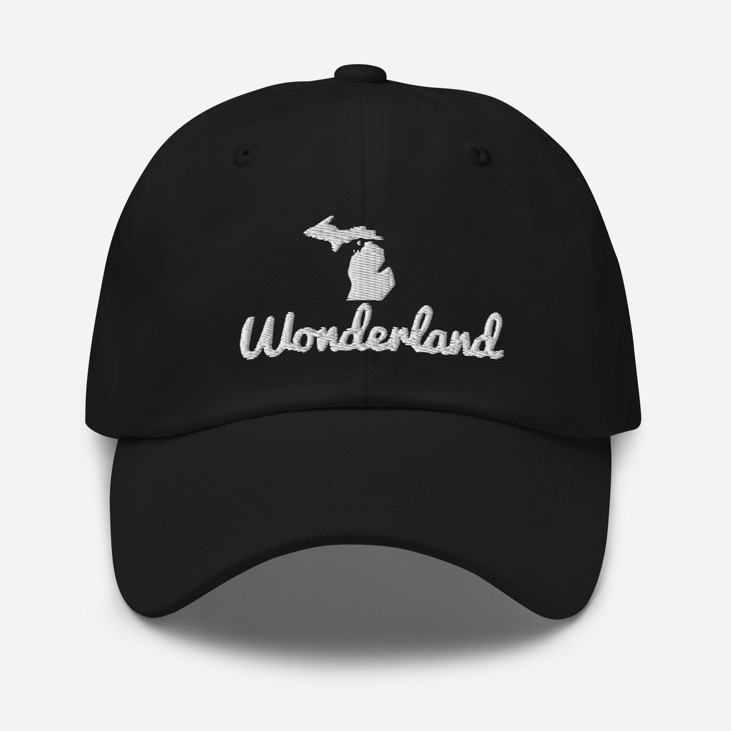 Michigan 'Wonderland' Dad Hat (Script Font)