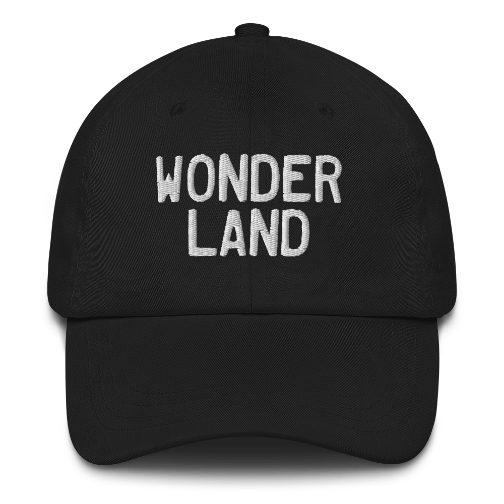 Michigan 'Wonderland' Dad Hat (Licence Plate Font)