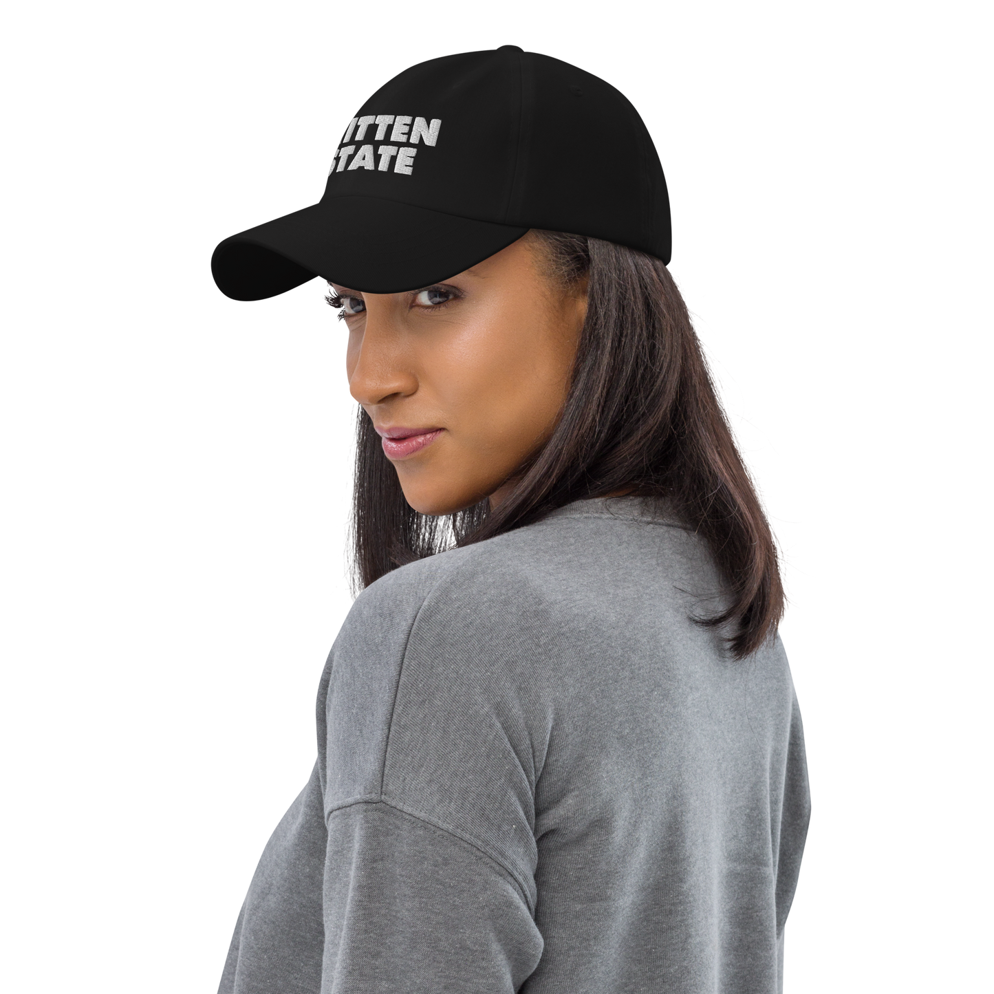 Michigan 'Mitten State' Dad Hat (Geometric Sans Font)