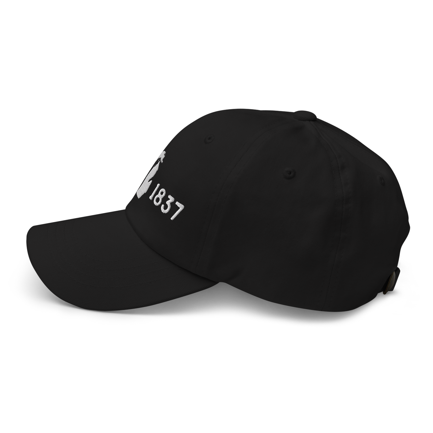 Michigan 'EST 1837' Dad Hat (Licence Plate Font)