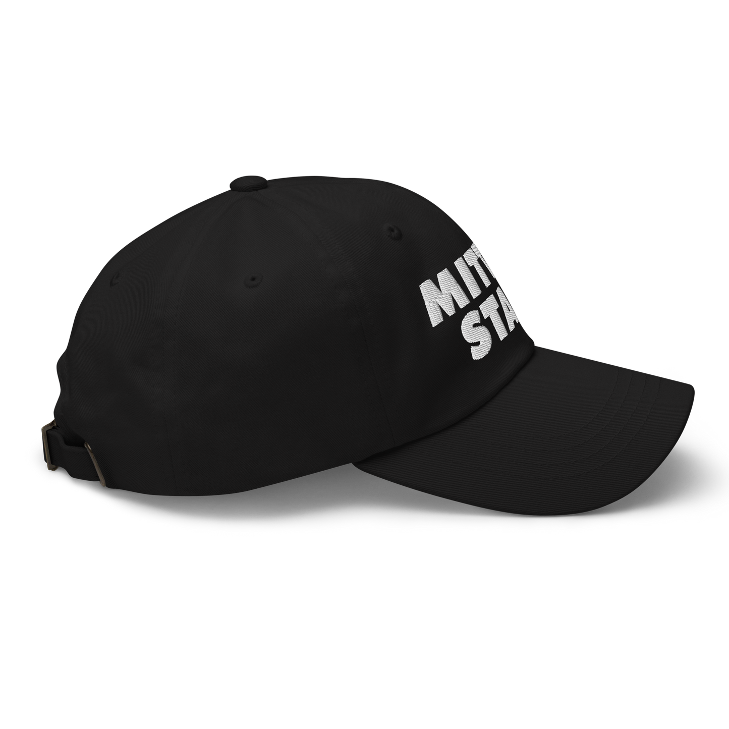 Michigan 'Mitten State' Dad Hat (Geometric Sans Font)