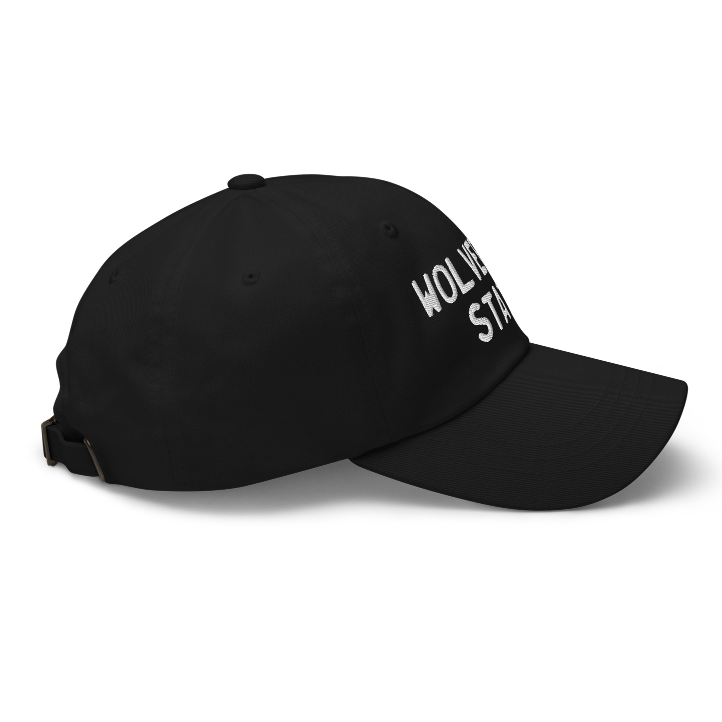 Michigan 'Wolverine State' Dad Hat (Licence Plate Font)