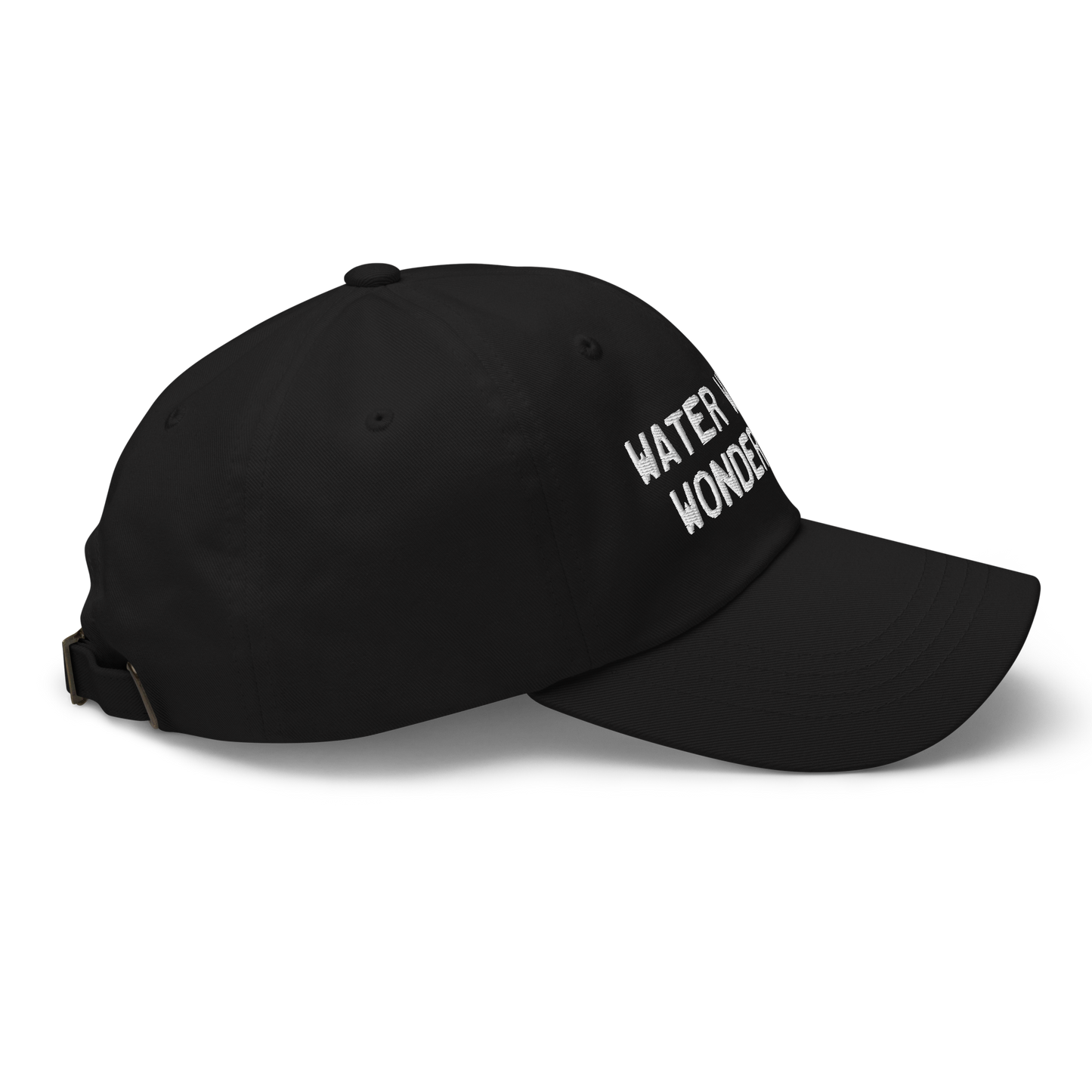 Michigan 'Water Winter Wonderland' Dad Hat (Licence Plate Font)