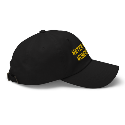 Michigan 'Water Winter Wonderland' Dad Hat (Licence Plate Font) | Gold Embroidery