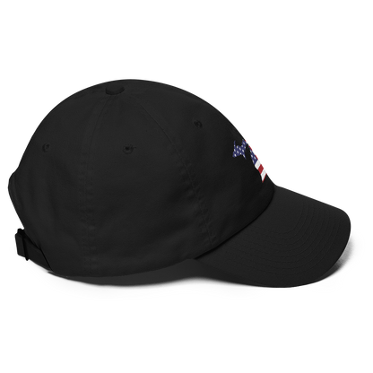 State of Michigan Dad Hat (w/ USA Flag Outline)