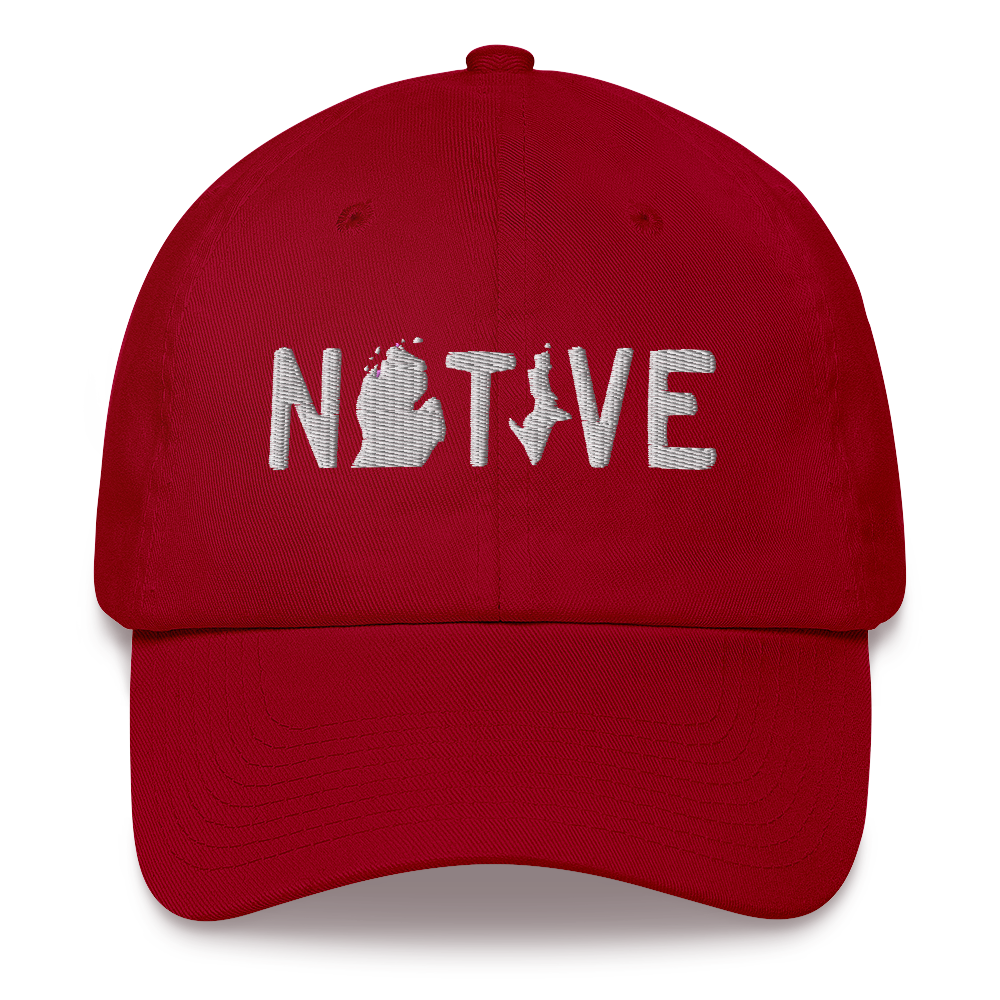 Michigan 'Native' Dad Hat (Licence Plate Font)