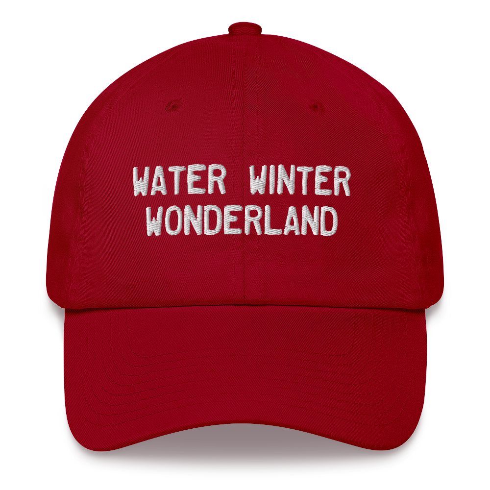 Michigan 'Water Winter Wonderland' Dad Hat (Licence Plate Font)