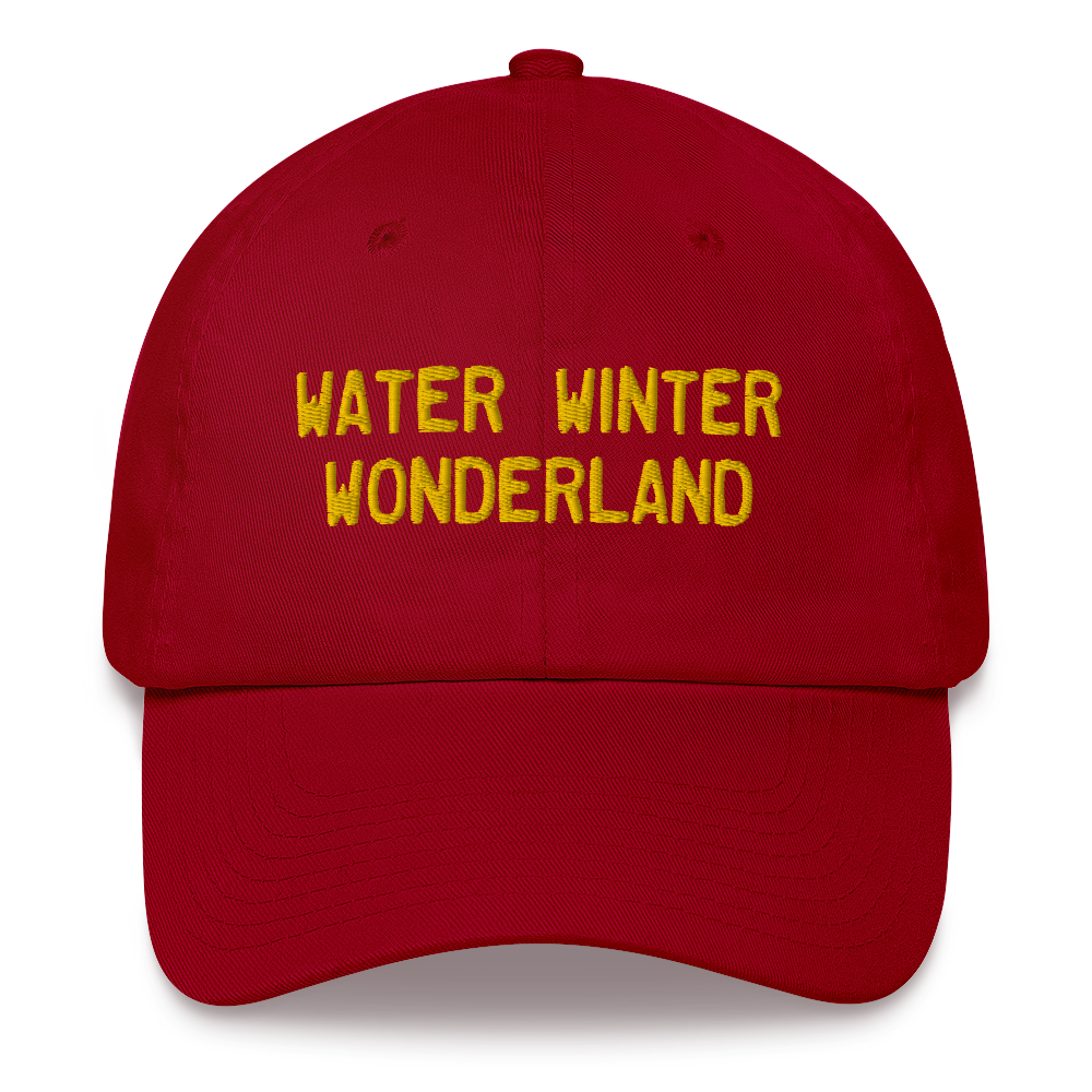 Michigan 'Water Winter Wonderland' Dad Hat (Licence Plate Font) | Gold Embroidery