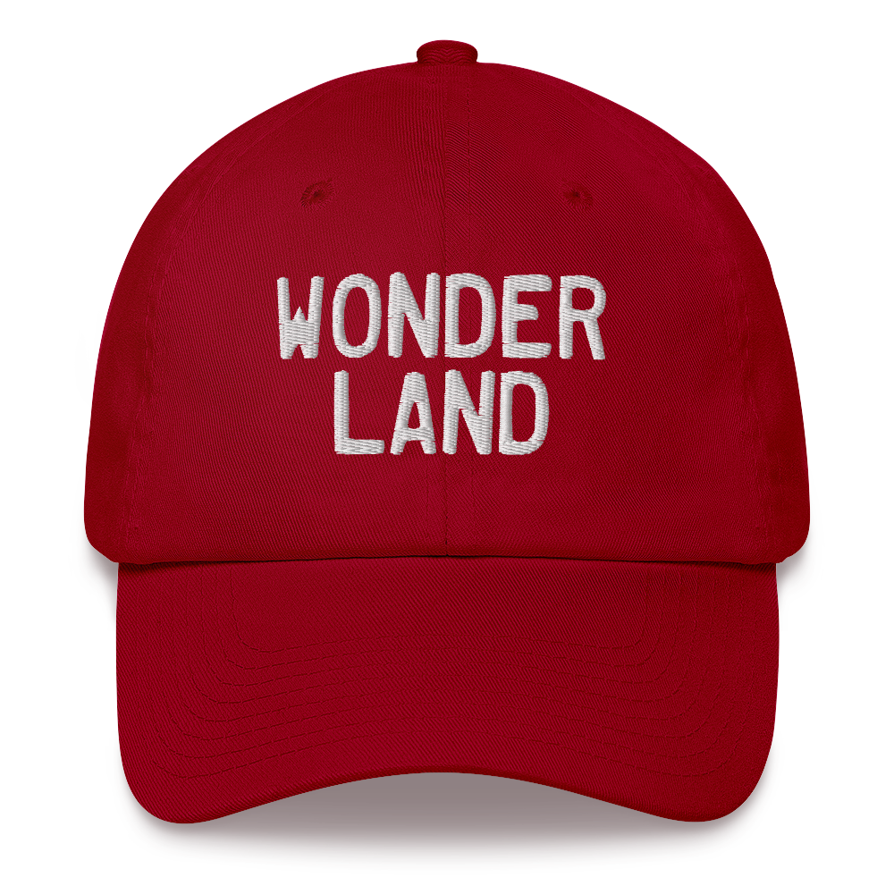 Michigan 'Wonderland' Dad Hat (Licence Plate Font)