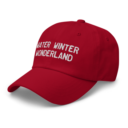 Michigan 'Water Winter Wonderland' Dad Hat (Licence Plate Font)