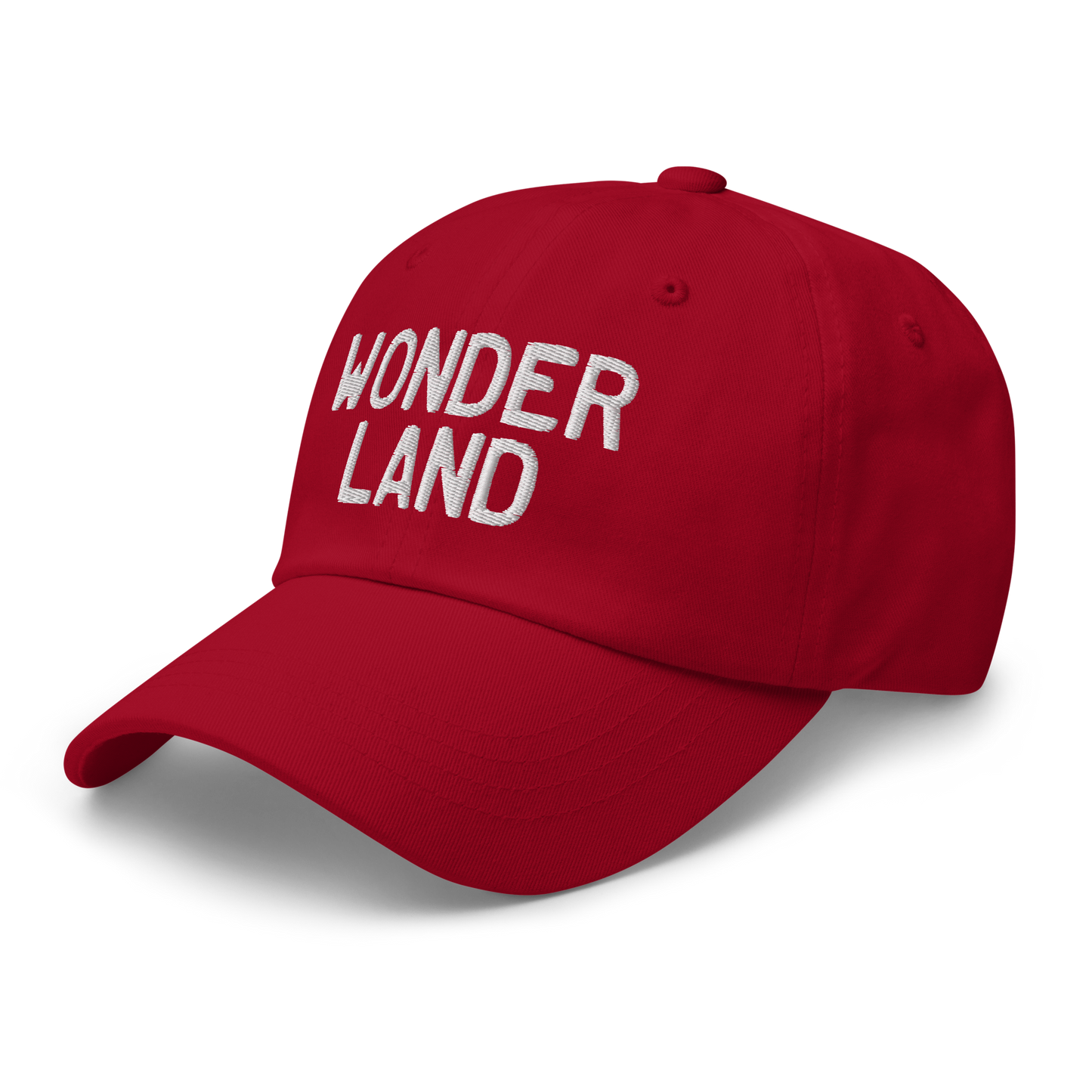 Michigan 'Wonderland' Dad Hat (Licence Plate Font)