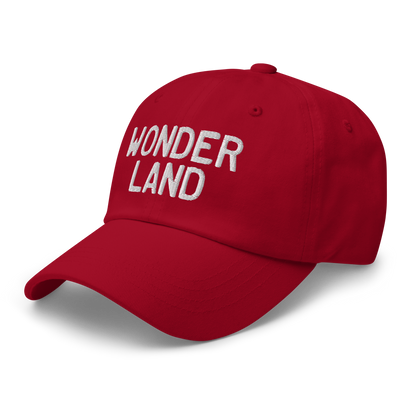 Michigan 'Wonderland' Dad Hat (Licence Plate Font)