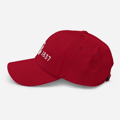 Michigan 'EST 1837' Dad Hat (Licence Plate Font)