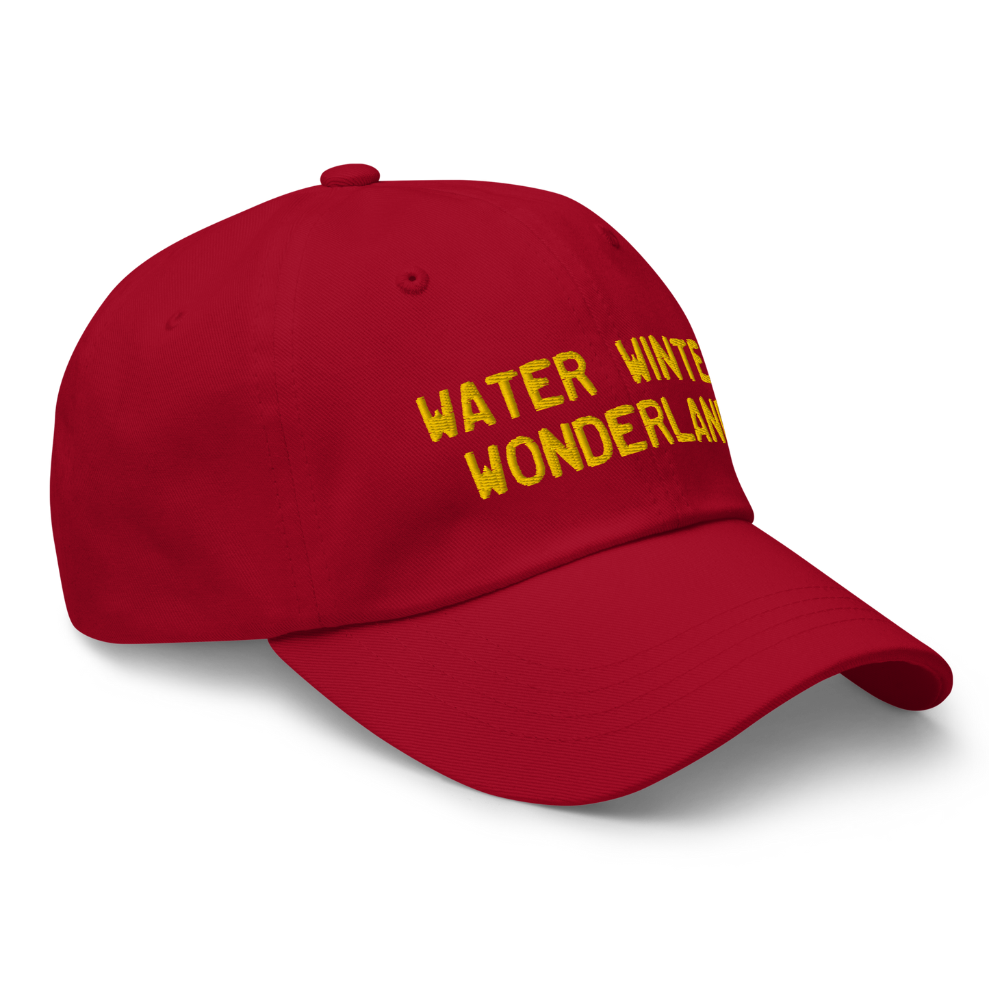 Michigan 'Water Winter Wonderland' Dad Hat (Licence Plate Font) | Gold Embroidery