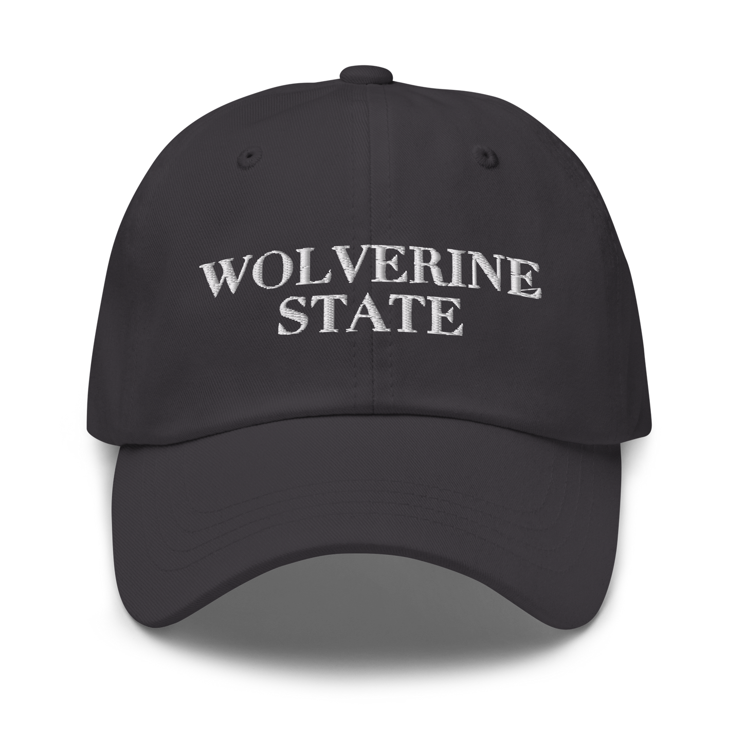 Michigan 'Wolverine State' Dad Hat (Didone Font)