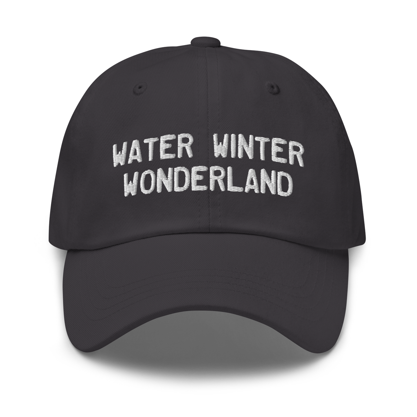 Michigan 'Water Winter Wonderland' Dad Hat (Licence Plate Font)