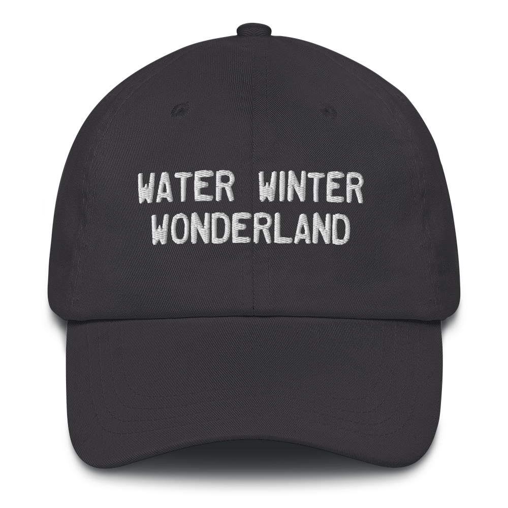 Michigan 'Water Winter Wonderland' Dad Hat (Licence Plate Font)