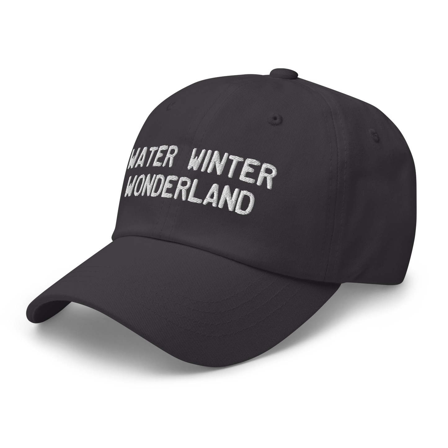 Michigan 'Water Winter Wonderland' Dad Hat (Licence Plate Font)