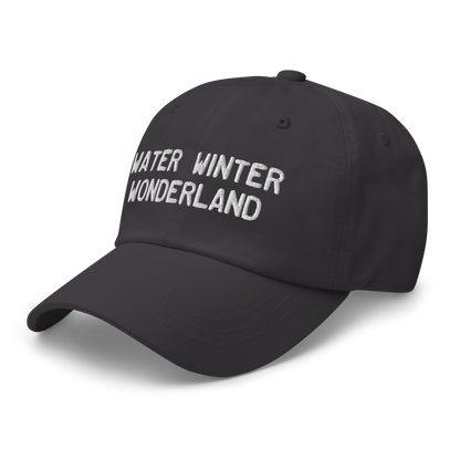 Michigan 'Water Winter Wonderland' Dad Hat (Licence Plate Font)