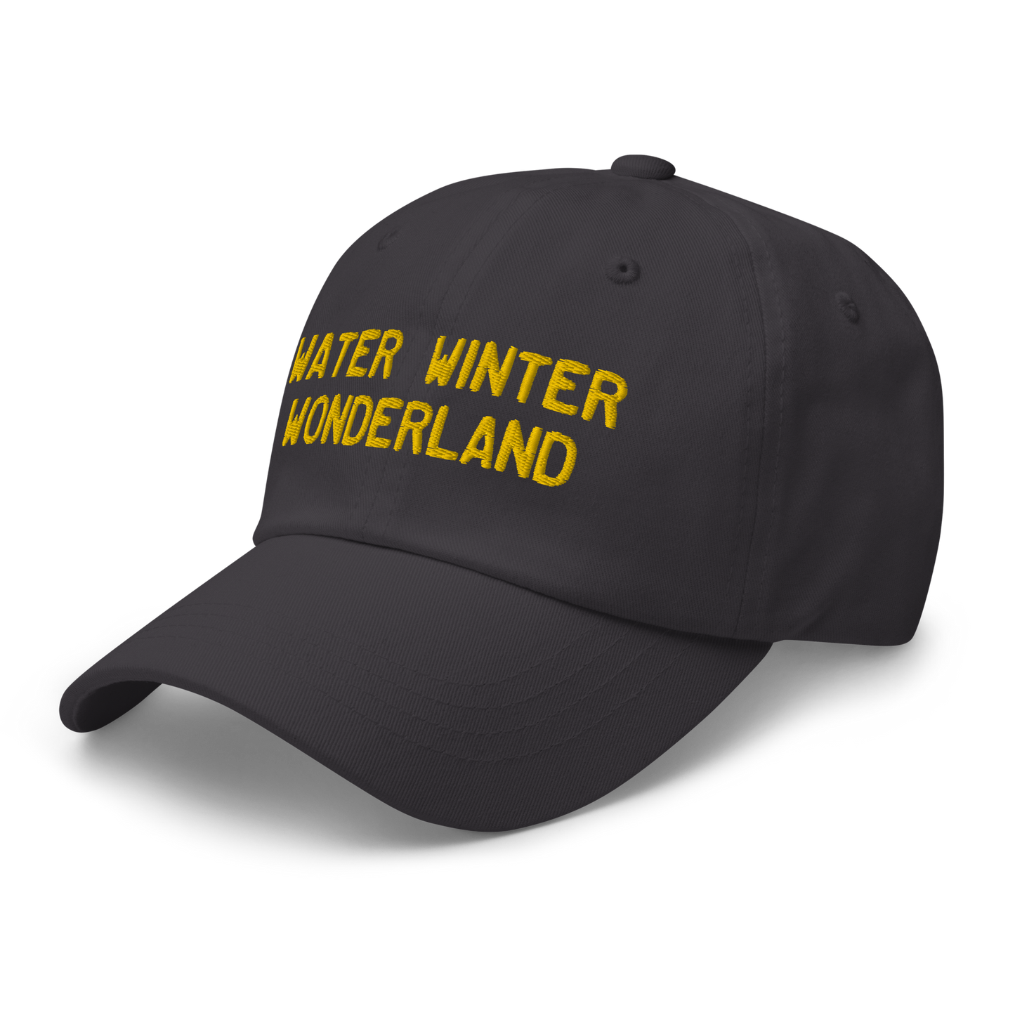 Michigan 'Water Winter Wonderland' Dad Hat (Licence Plate Font) | Gold Embroidery