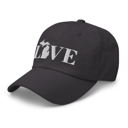 Michigan 'Love' Dad Hat (Didone Font)