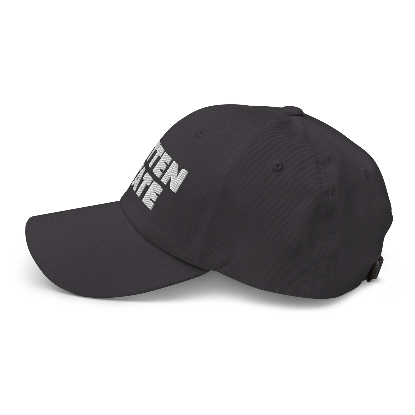 Michigan 'Mitten State' Dad Hat (Geometric Sans Font)