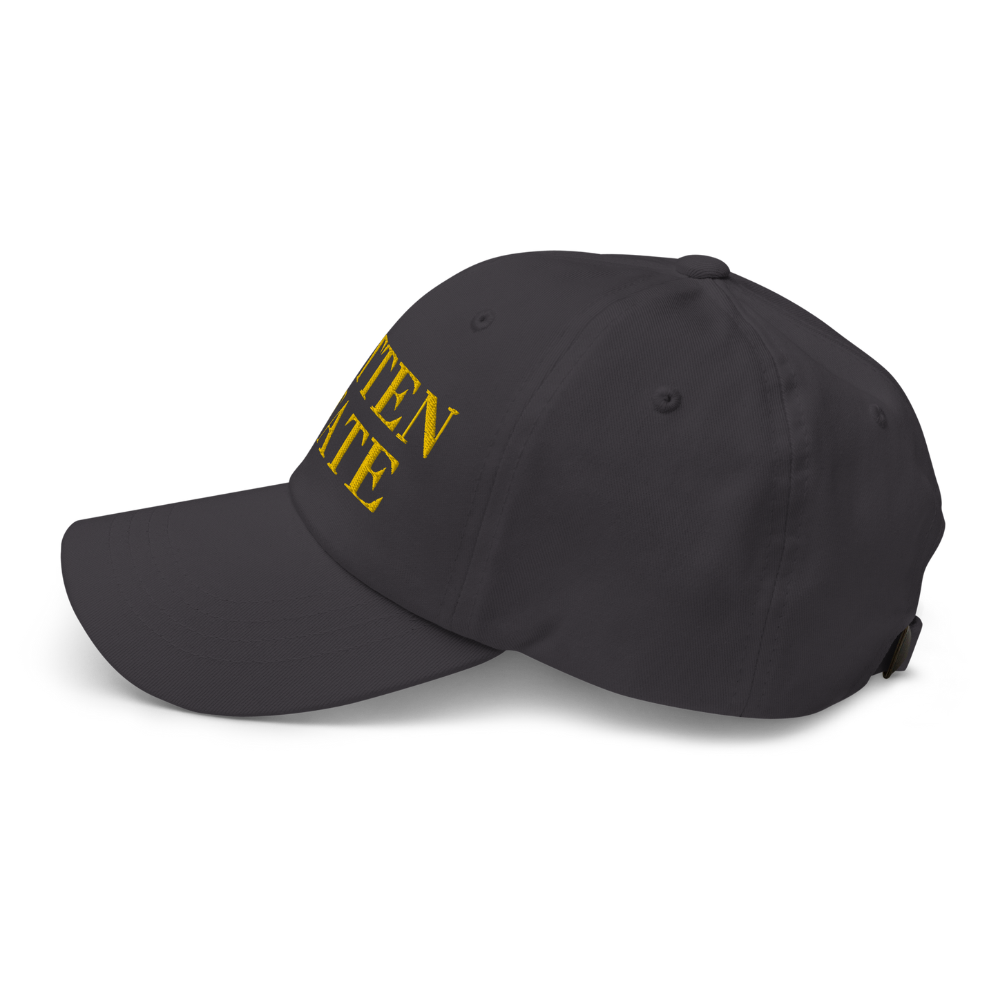 Michigan 'Mitten State' Dad Hat (Didone Font) | Gold Embroidery