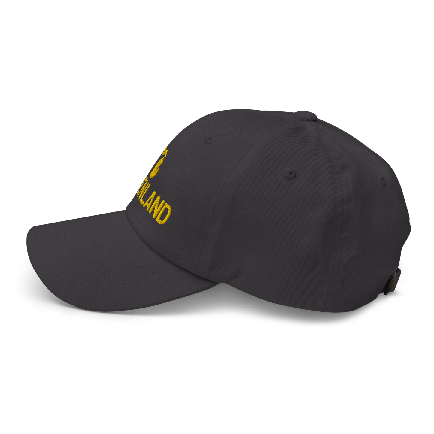 Michigan 'Mittenland' Dad Hat | Gold Embroidery