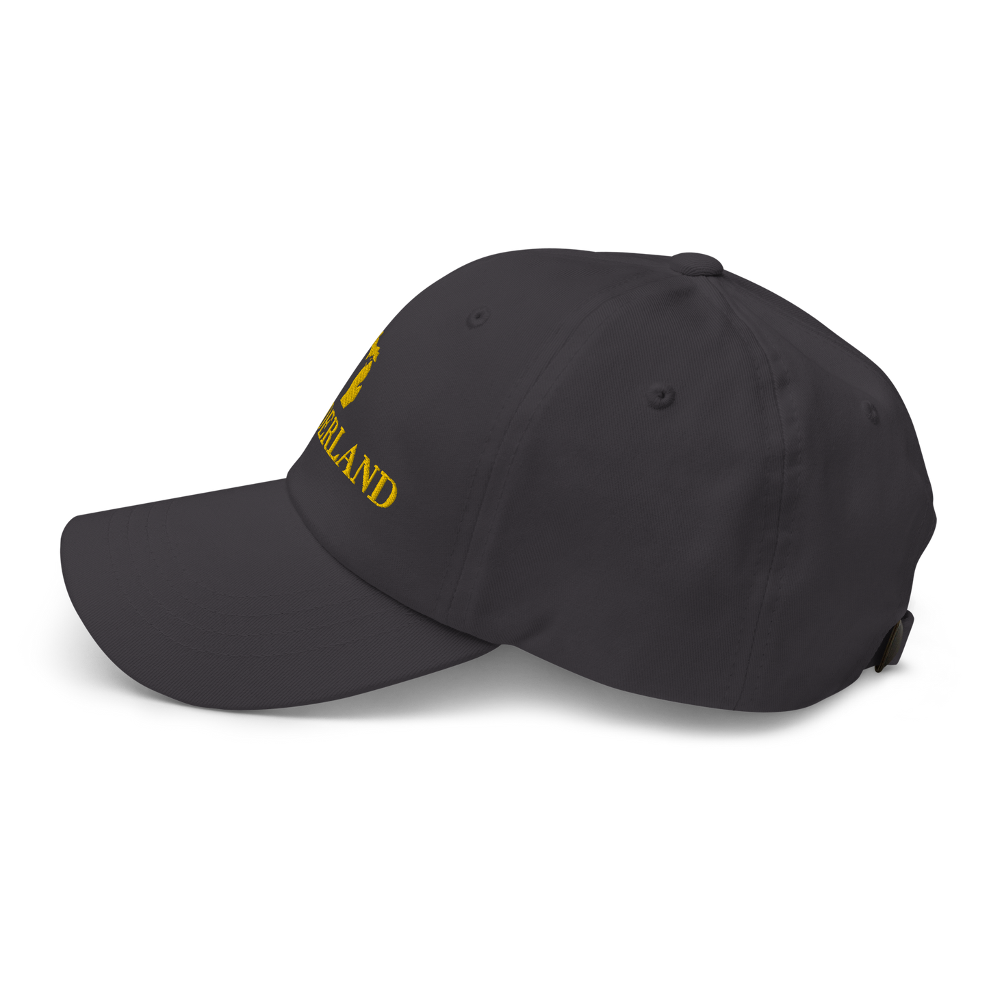 Michigan 'Wonderland' Dad Hat (Didone Font) | Gold Embroidery