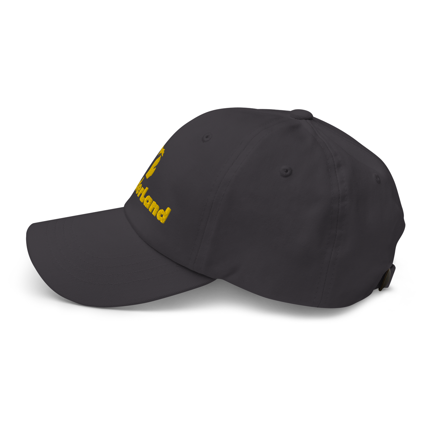 Michigan 'Wonderland' Dad Hat (Geometric Sans Font) | Gold Embroidery