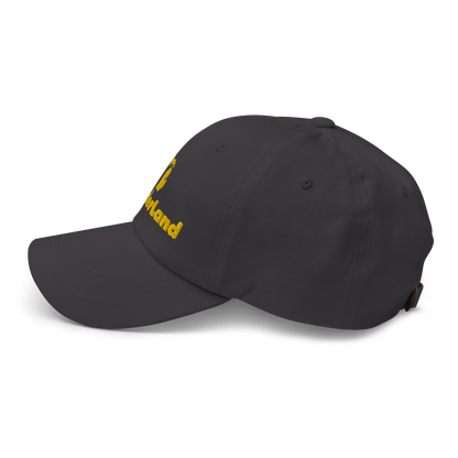 Michigan 'Wonderland' Dad Hat (Geometric Sans Font) | Gold Embroidery