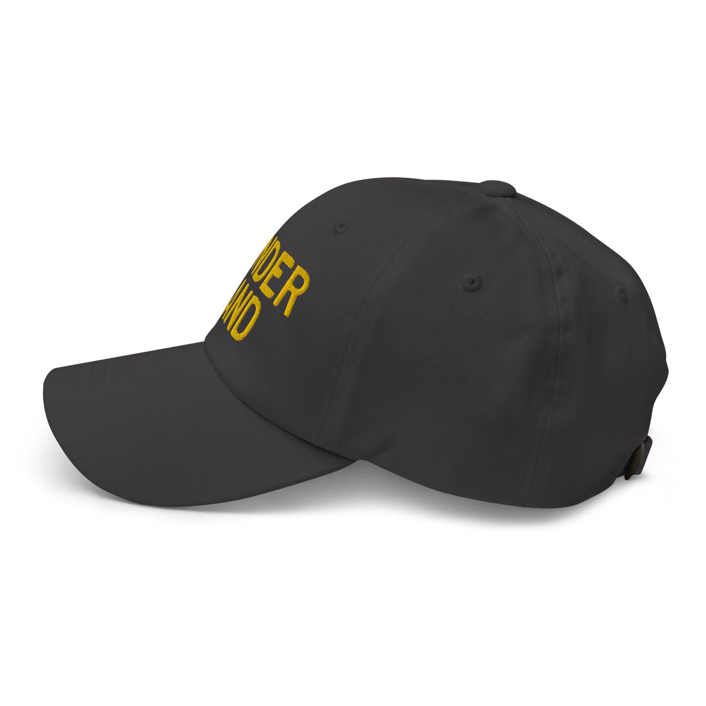 Michigan 'Wonderland' Dad Hat (Licence Plate Font) | Gold Embroidery