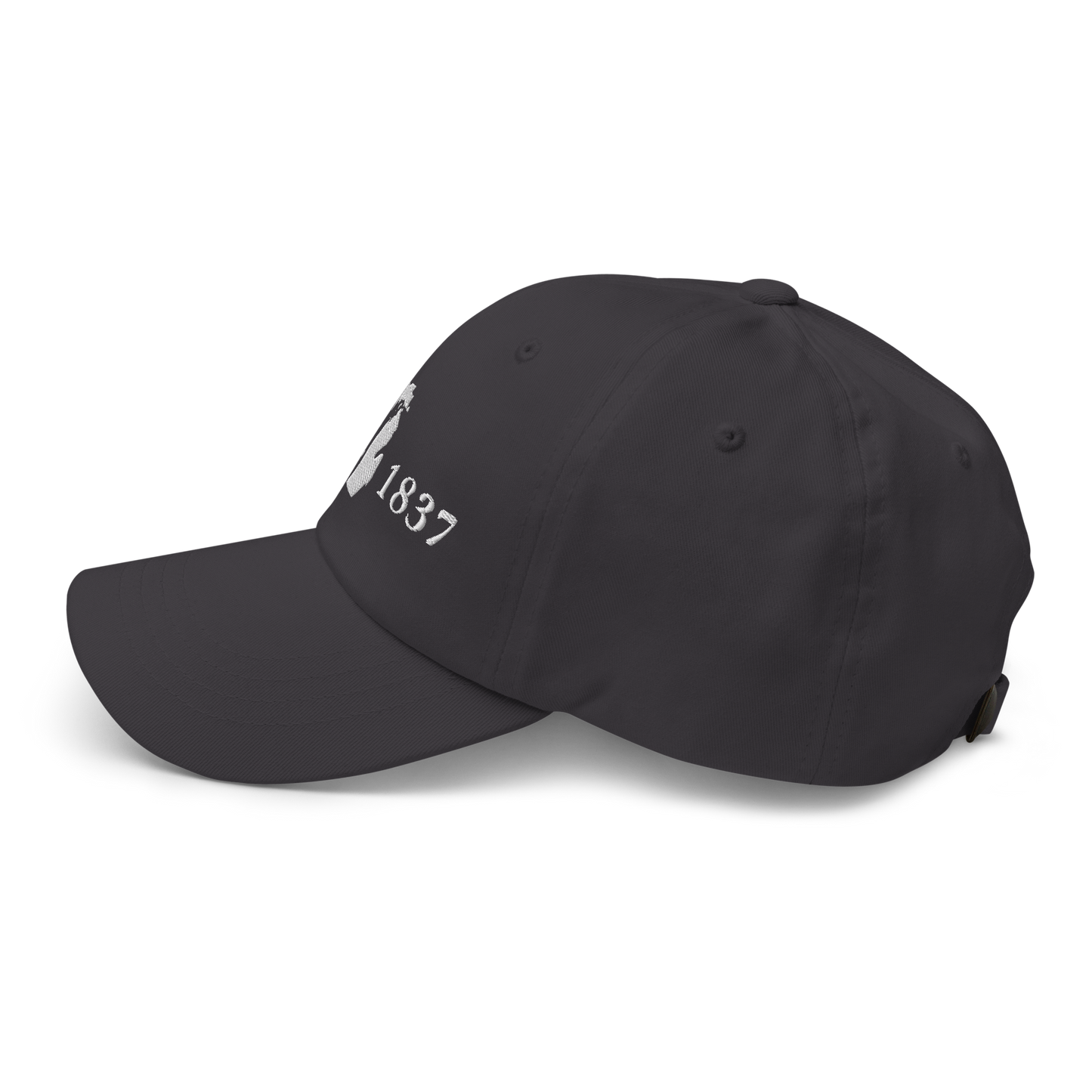 Michigan 'EST 1837' Dad Hat (Didone Font)