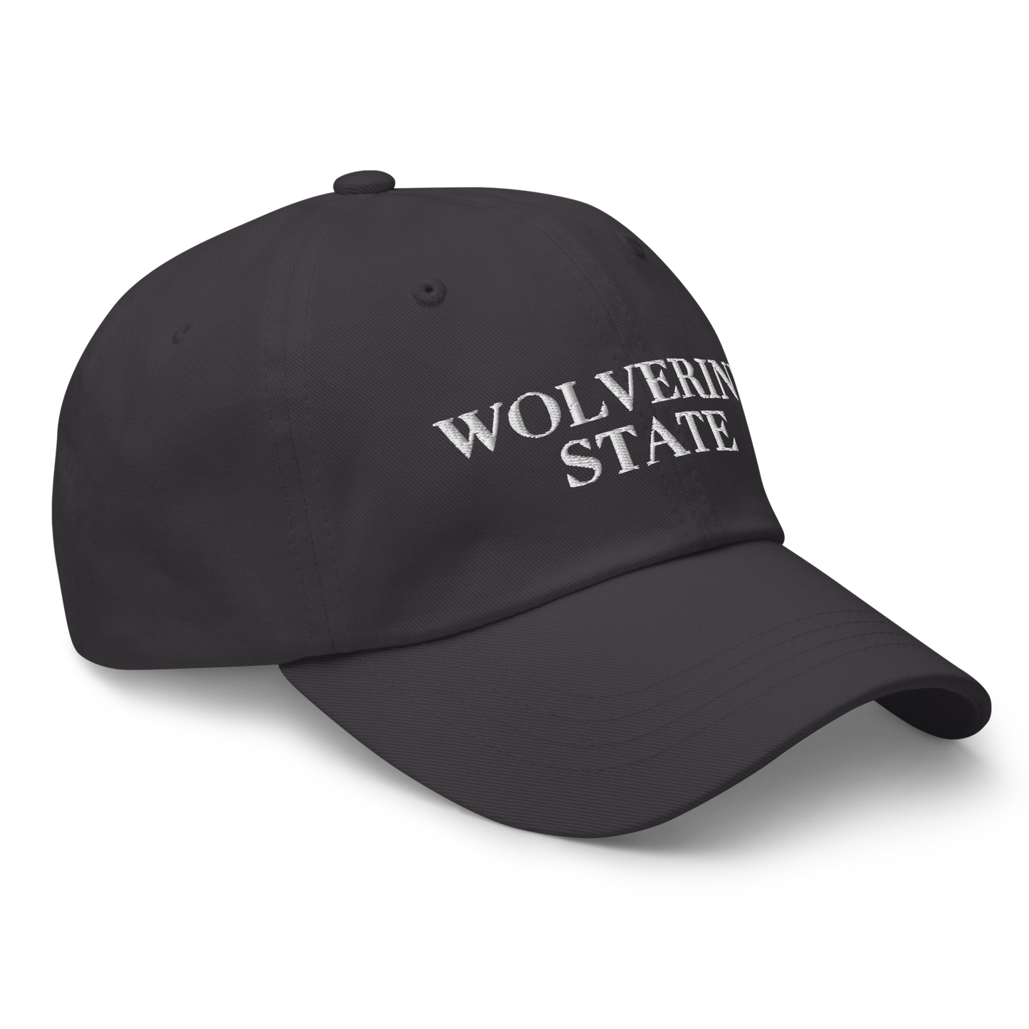 Michigan 'Wolverine State' Dad Hat (Didone Font)