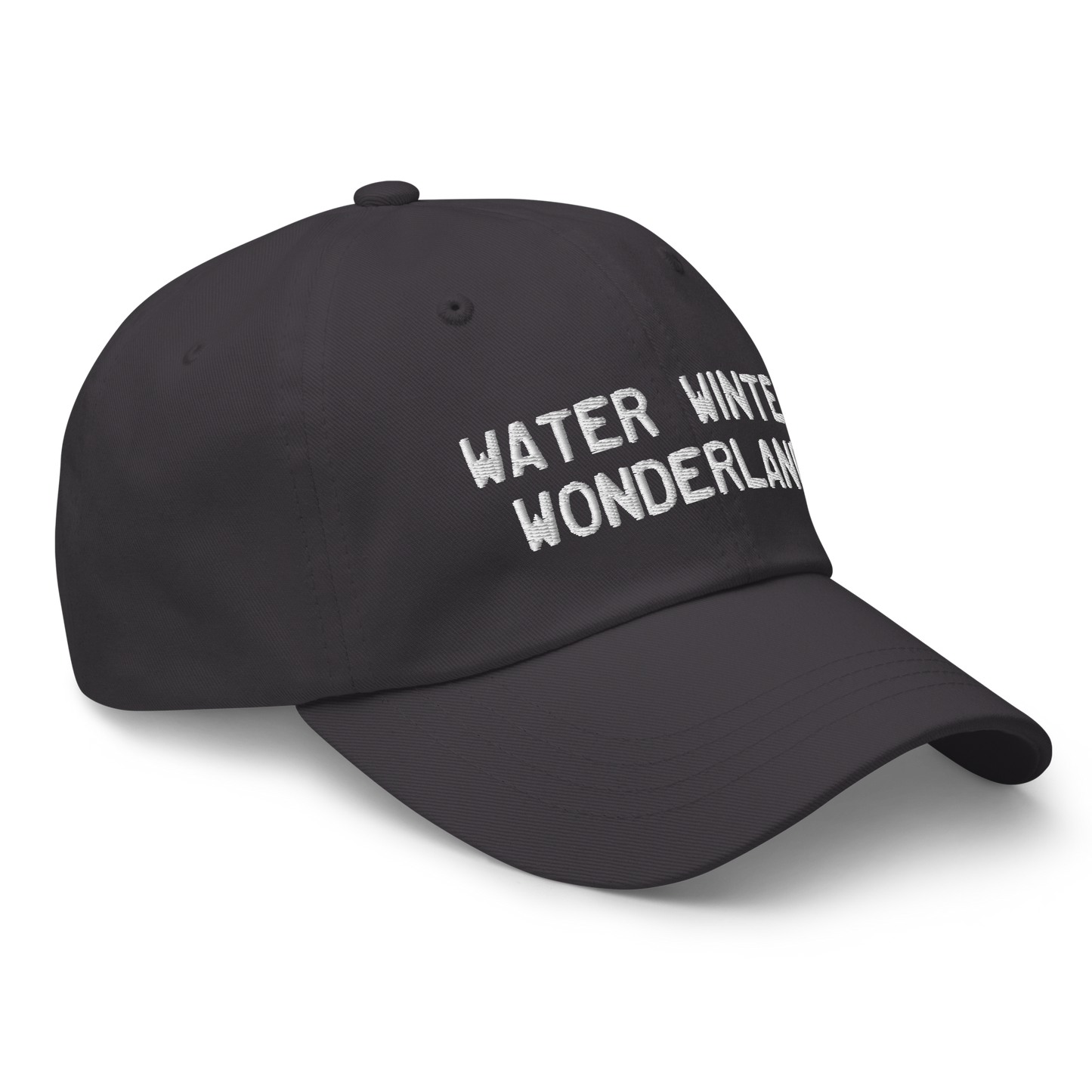 Michigan 'Water Winter Wonderland' Dad Hat (Licence Plate Font)