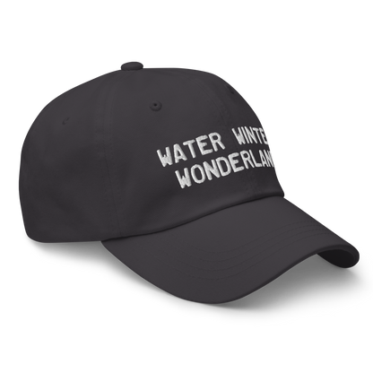 Michigan 'Water Winter Wonderland' Dad Hat (Licence Plate Font)