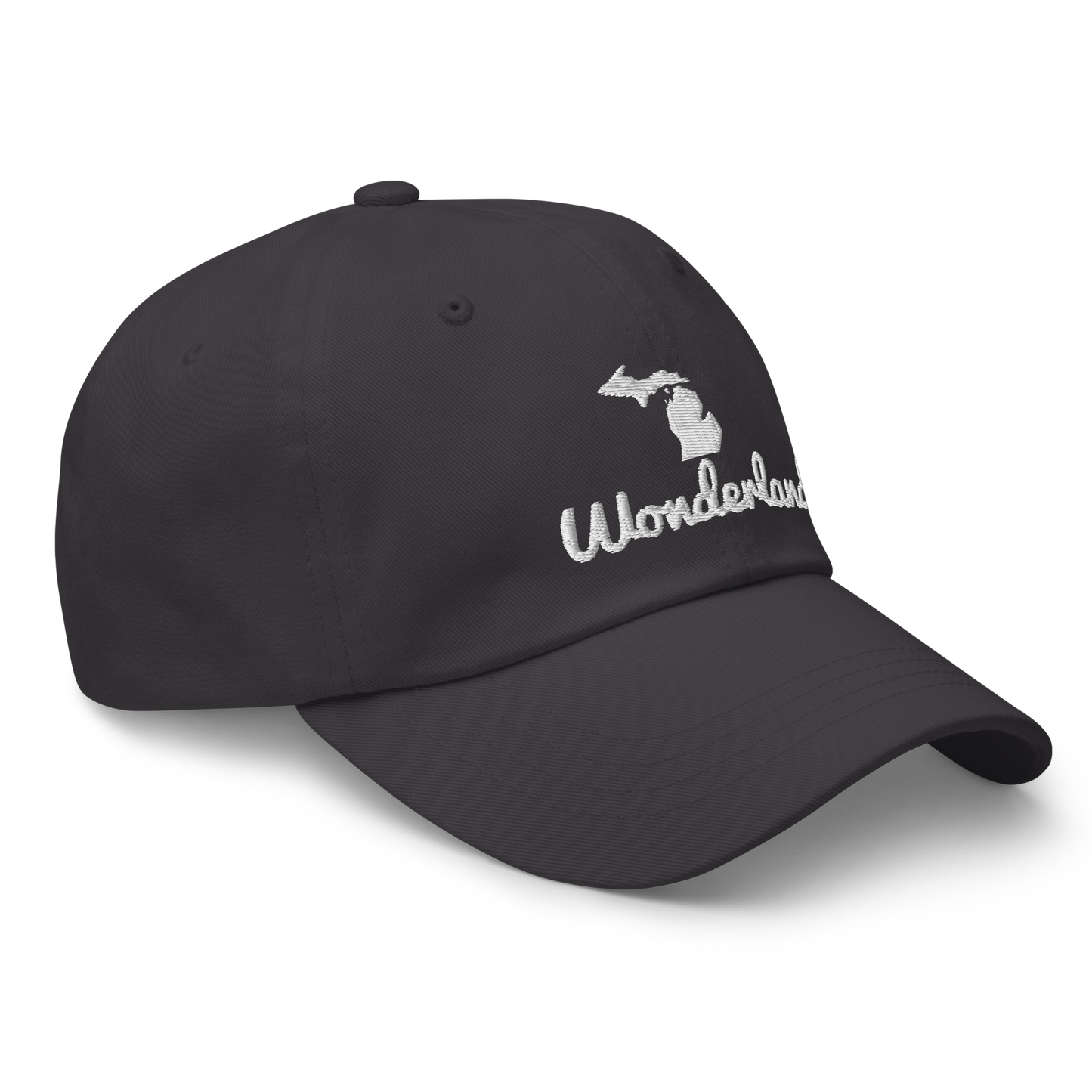 Michigan 'Wonderland' Dad Hat (Script Font)