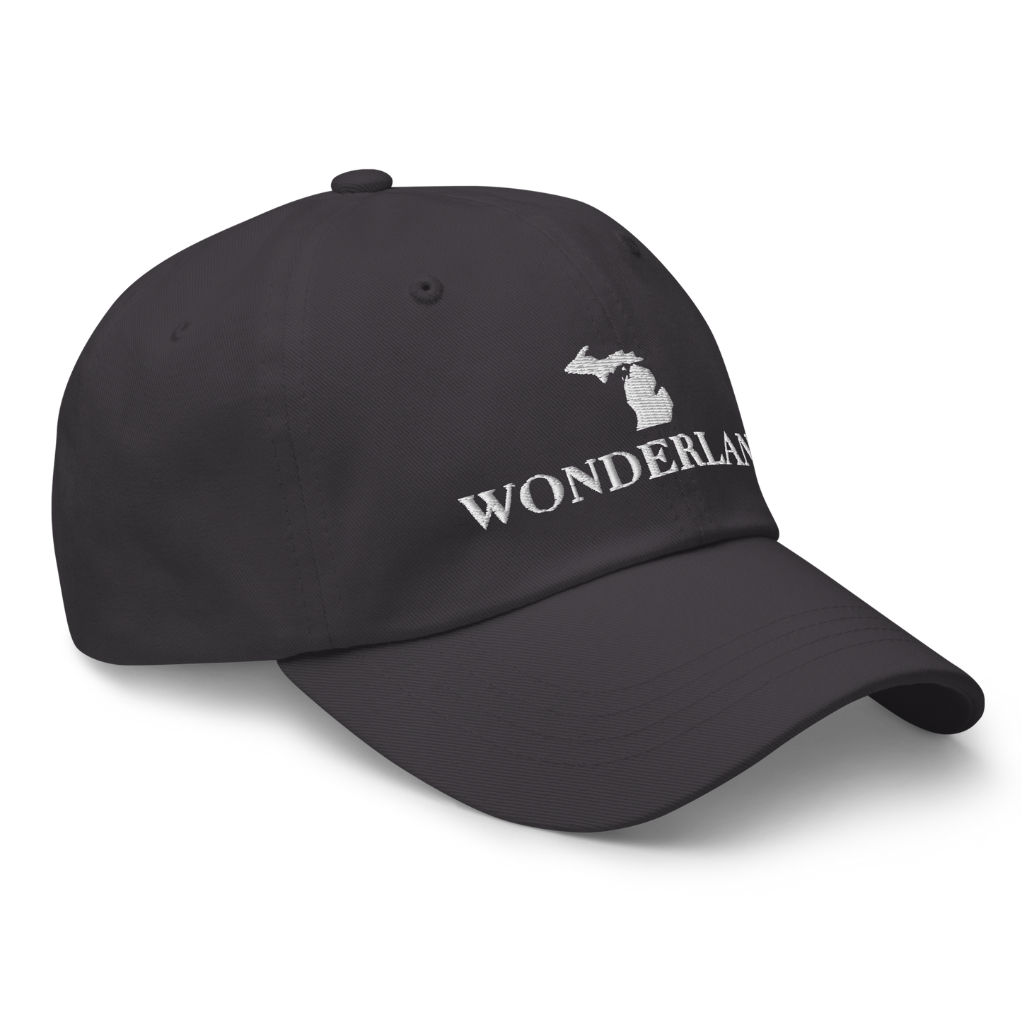 Michigan 'Wonderland' Dad Hat (Didone Font)