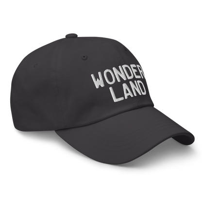 Michigan 'Wonderland' Dad Hat (Licence Plate Font)