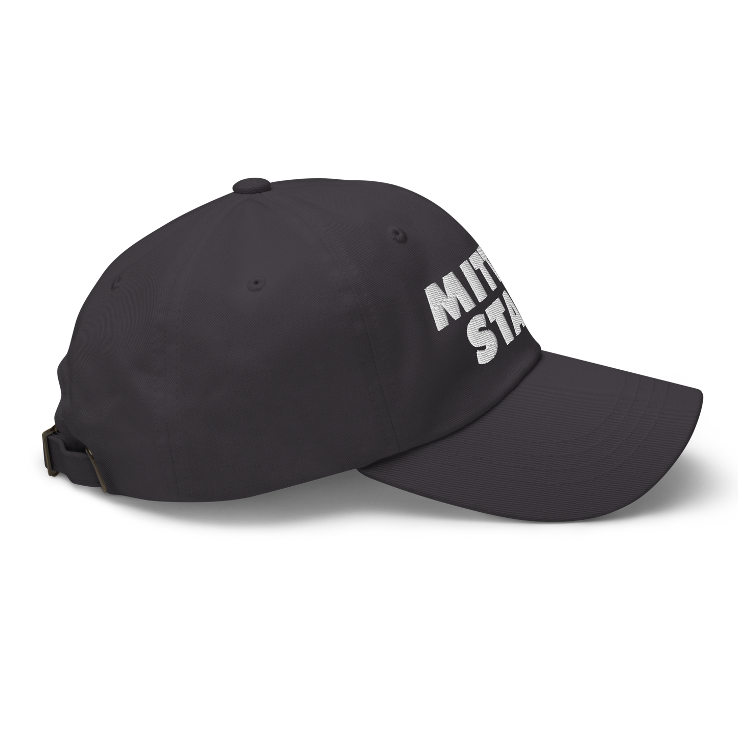 Michigan 'Mitten State' Dad Hat (Geometric Sans Font)