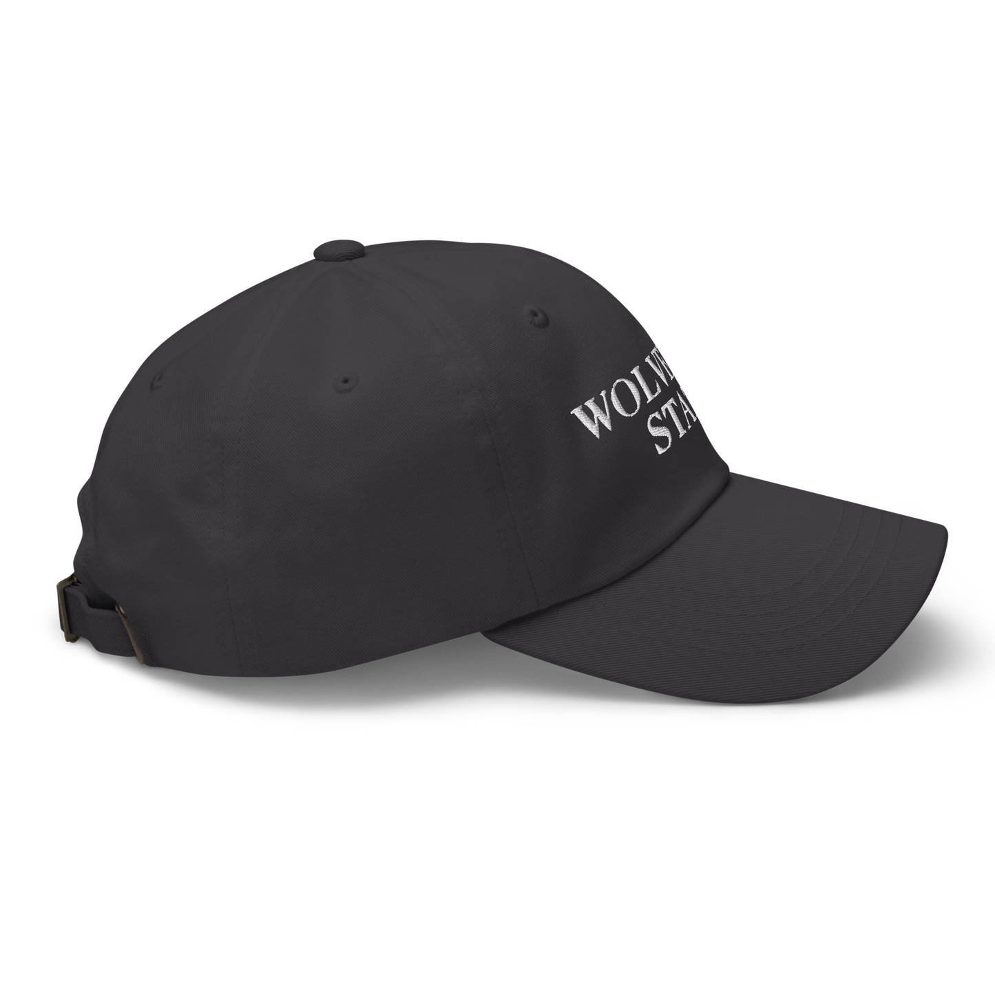 Michigan 'Wolverine State' Dad Hat (Didone Font)