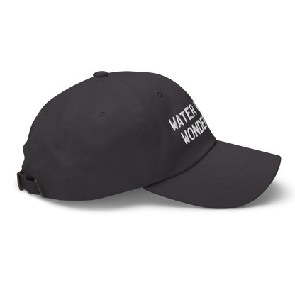 Michigan 'Water Winter Wonderland' Dad Hat (Licence Plate Font)